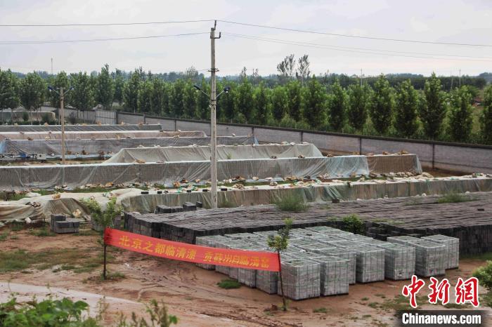 临清目前仍在为故宫古建修缮提供优质贡砖。 赵晓 摄