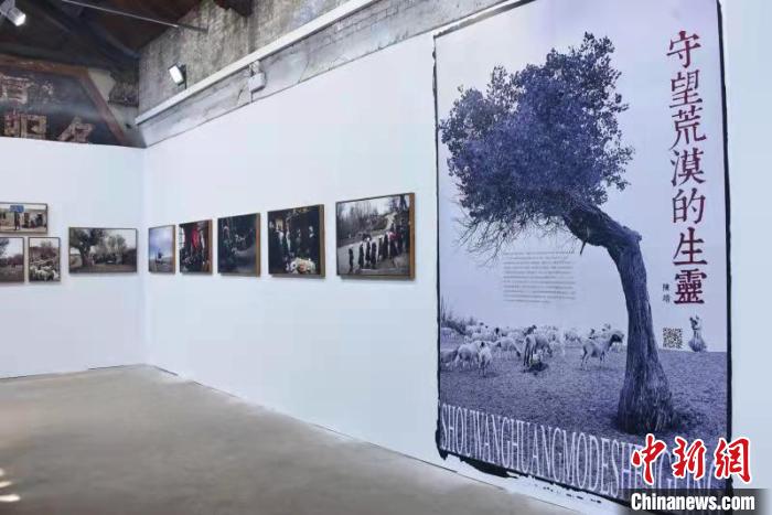 作品包括关注生命、关注人性、人与自然环境、人类的生存问题以及民俗文化等题材。　田将鸿 摄