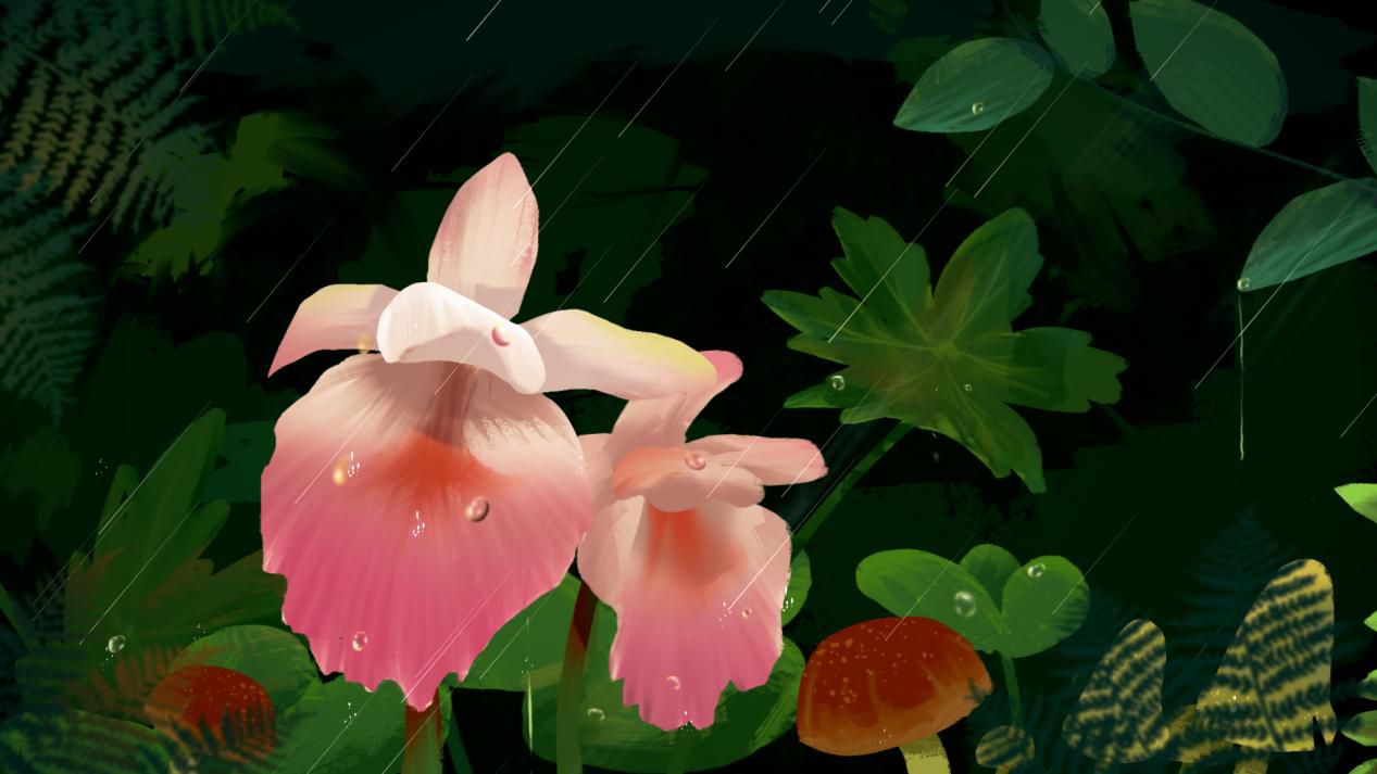 点击进入下一页