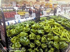 价高不可持续 囤货还要适量