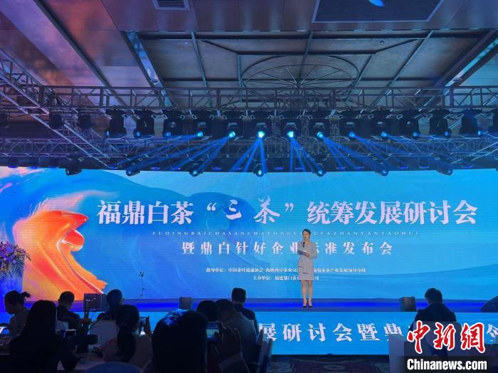 图为：研讨会现场。林朝曦供图