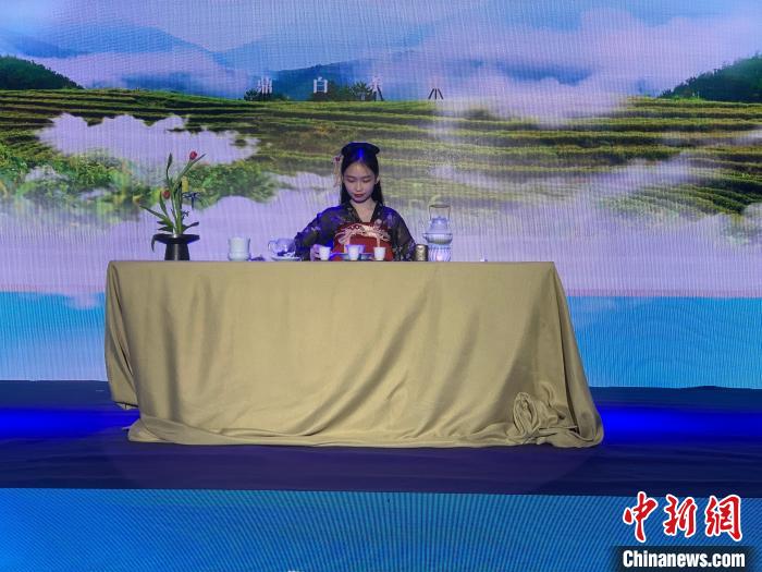 聚焦福鼎白茶专家学者助力茶产业高质量发展