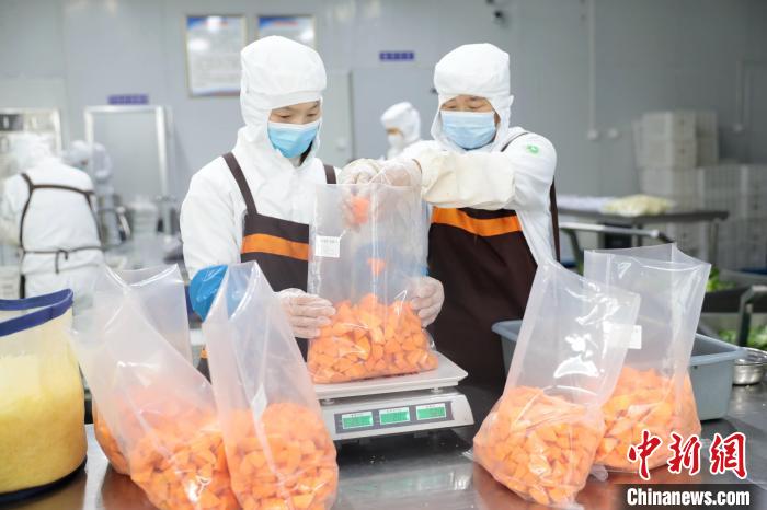 图为在合作社净菜加工车间,工作人员对加工好的蔬菜进行称重打包。宋敏涛 摄