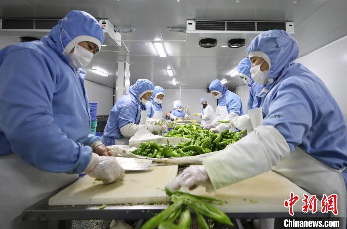 “鲜切果蔬”24小时上餐桌河北固安冷链食品俏销京津