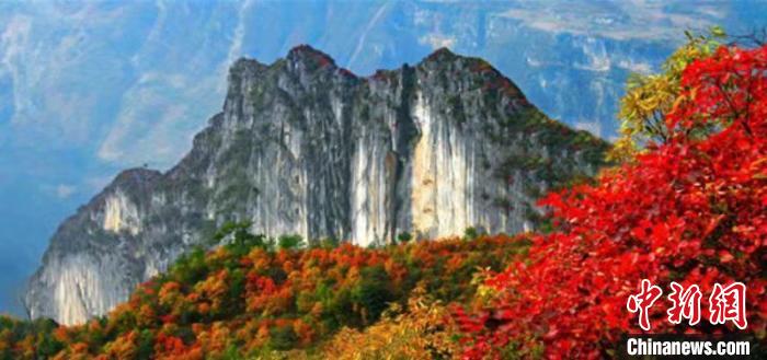 三峡红叶。巫溪县委宣传部供图
