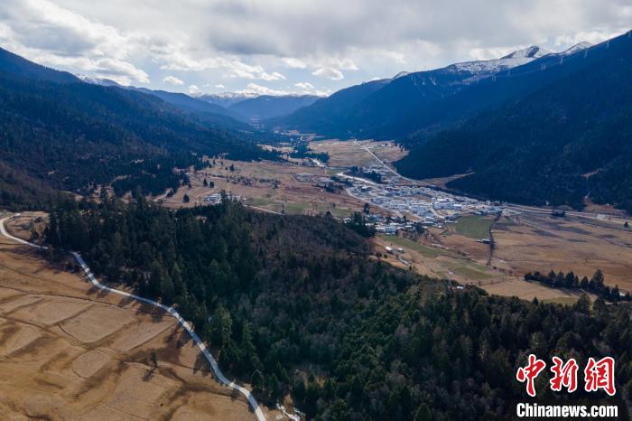 图为冬日西藏林芝鲁朗林海风光。江飞波 摄