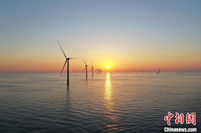 图为风场全貌。中国铁建港航局供图