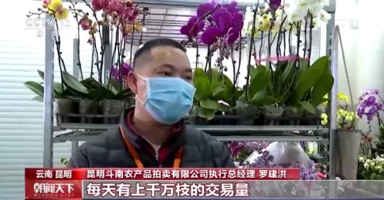 假期消费市场观察丨线上线下消费热度持续攀升 冰雪主题游升温