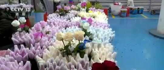 假期消费市场观察丨线上线下消费热度持续攀升 冰雪主题游升温