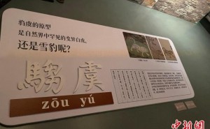 “清宫兽谱”展在上海自然博物馆开幕 以自然科学视角看“神兽”