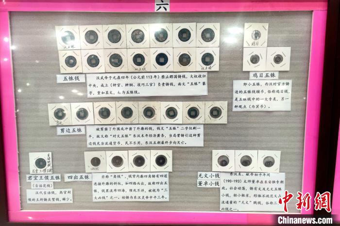 陈清雄将收藏的古币按照朝代一一整理。吴冠标 摄