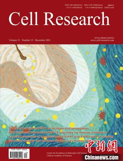 入选的《细胞研究》封面。　中国科协 供图