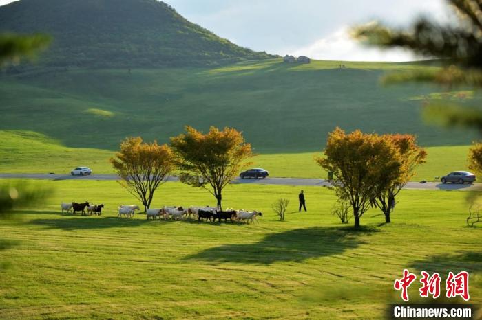 图为菖蒲景区打造酉阳旅游新名片。酉阳县委宣传部供图