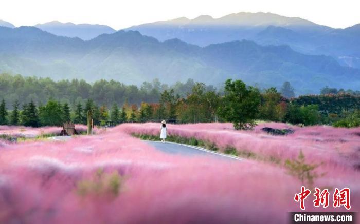 图为酉阳叠石花谷景区成游客追捧网红打卡点。张坤琨 摄