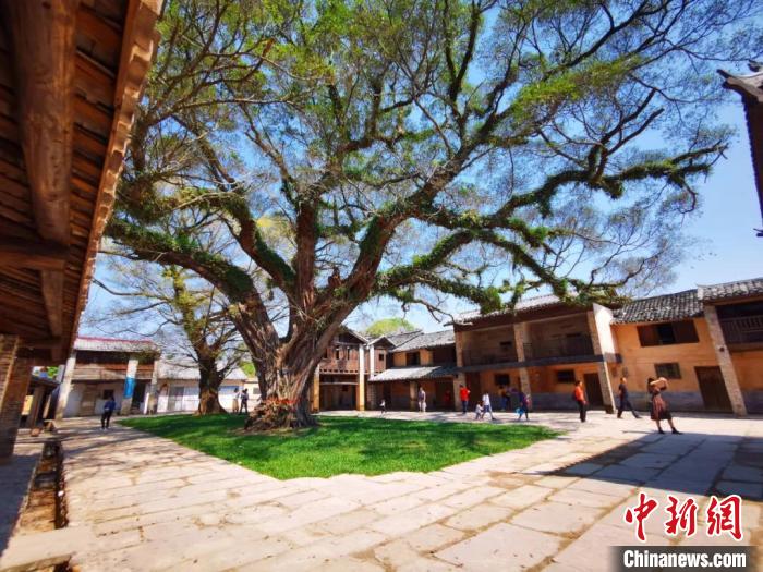 粤北千年古县韶关始兴的非遗传承“秘诀”