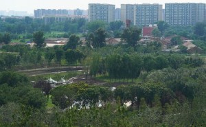北京南苑森林湿地公园将创建4A景区