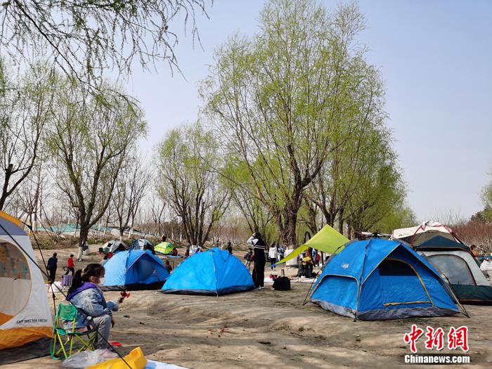 4月4日，众多游客在北京温榆河公园露营。<a target=<i></i>'_blank<i></i>' href=<i></i>'/<i></i>' >中新网</a>记者 李金磊 摄