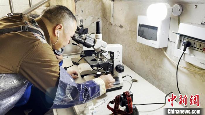 图为技术人员通过显微镜观察胭脂鱼的精子和鱼卵质量是否符合人工授精条件。　曾蕊 　摄