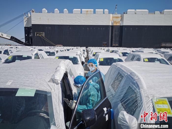 天津保税区海关关员在环球码头对沃尔沃乘用车进行查验。　天津海关供图