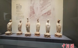 中国首座考古学科专题博物馆试行开放