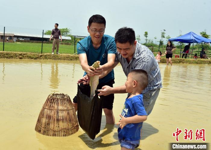 游客在广州市增城区幸福田园犇牛牧场捕鱼 曾令华 摄