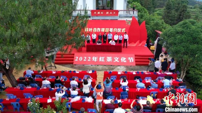 数字科技赋能茶行业发展福建尤溪举办红茶文化节