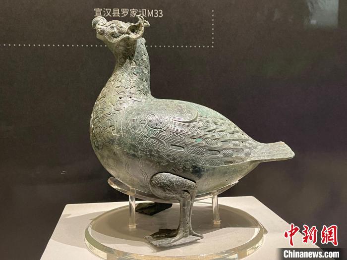 “花开并蒂——巴蜀青铜文明特展”中展出的鸟形尊。　杨予頔 摄