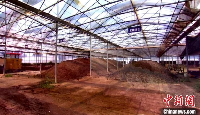 图为廊坊兴晟现代农业园区有机肥生产示范区的肥料生产车间。　赵云飞 摄