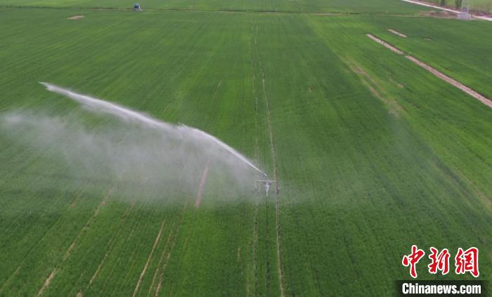 图为永清县兰星现代农业园区将粪污处理系统与农田自动喷灌系统相结合进行施肥。　赵云飞 摄