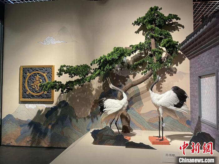 图为展览现场展出的“寿”文化元素。　河北博物院供图