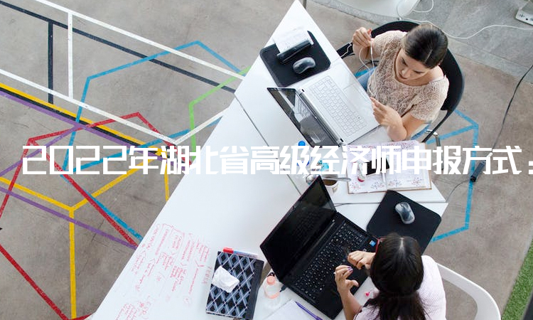 2022年湖北省高级经济师申报方式：网上申报