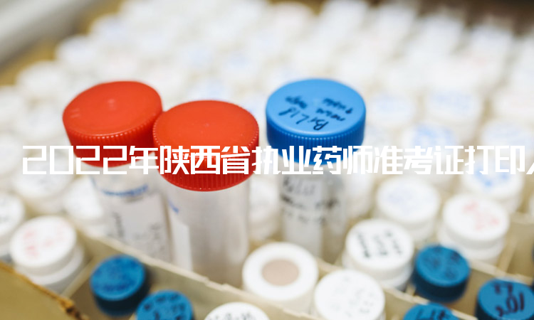 2022年陕西省执业药师准考证打印入口：中国人事考试网