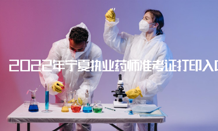 2022年宁夏执业药师准考证打印入口：中国人事考试网