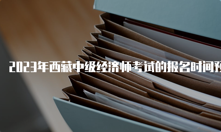 2023年西藏中级经济师考试的报名时间预计在7月份