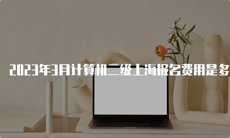 2023年3月计算机二级上海报名费用是多少？105元
