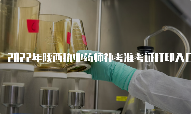 2022年陕西执业药师补考准考证打印入口是什么