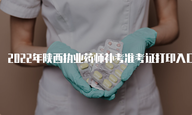 2022年陕西执业药师补考准考证打印入口在哪