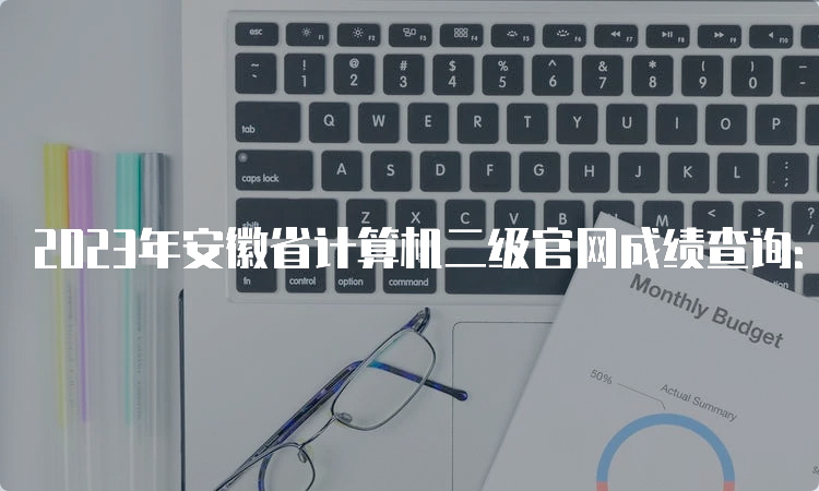 2023年安徽省计算机二级官网成绩查询：中国教育考试网