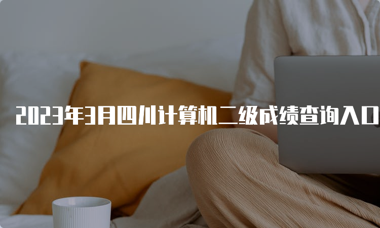 2023年3月四川计算机二级成绩查询入口：中国教育考试网