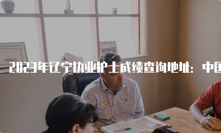 2023年辽宁执业护士成绩查询地址：中国卫生人才网