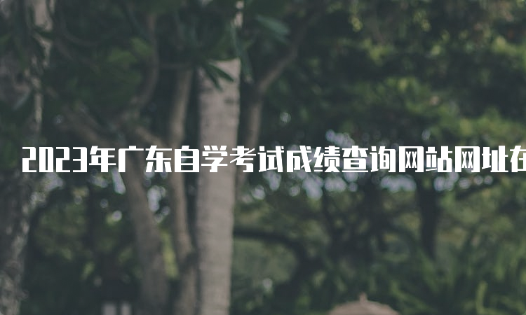 2023年广东自学考试成绩查询网站网址在何处