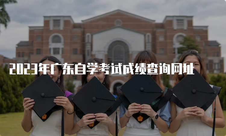2023年广东自学考试成绩查询网址