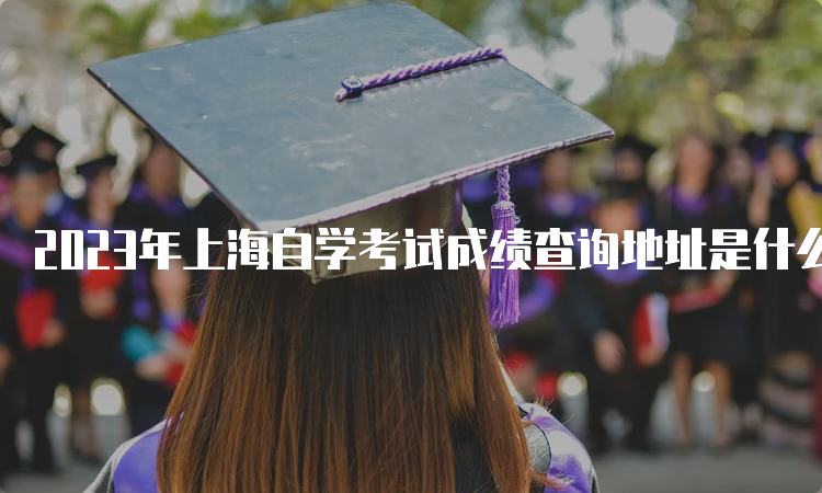 2023年上海自学考试成绩查询地址是什么