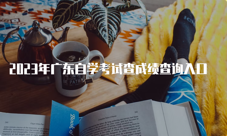 2023年广东自学考试查成绩查询入口