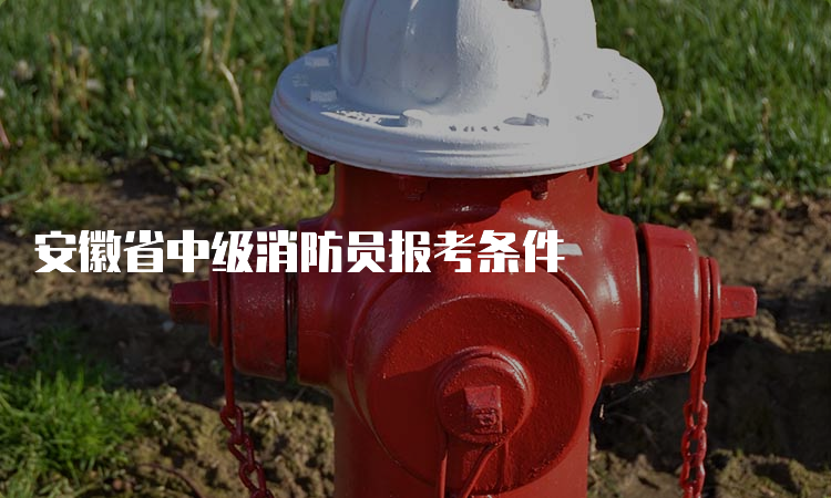 安徽省中级消防员报考条件