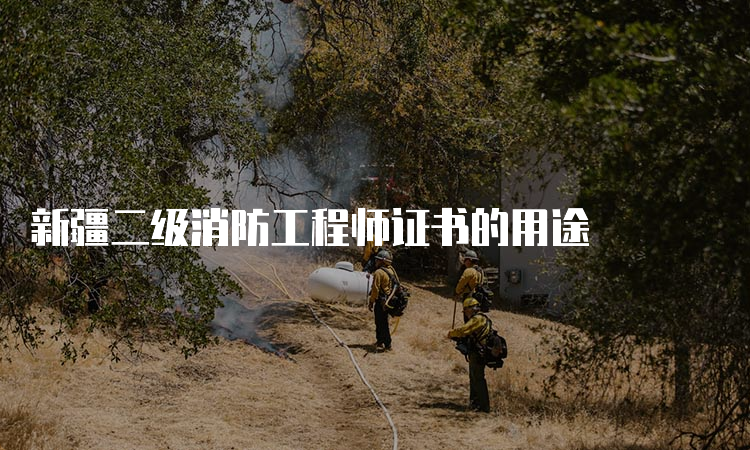 新疆二级消防工程师证书的用途
