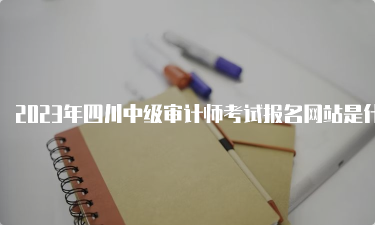 2023年四川中级审计师考试报名网站是什么
