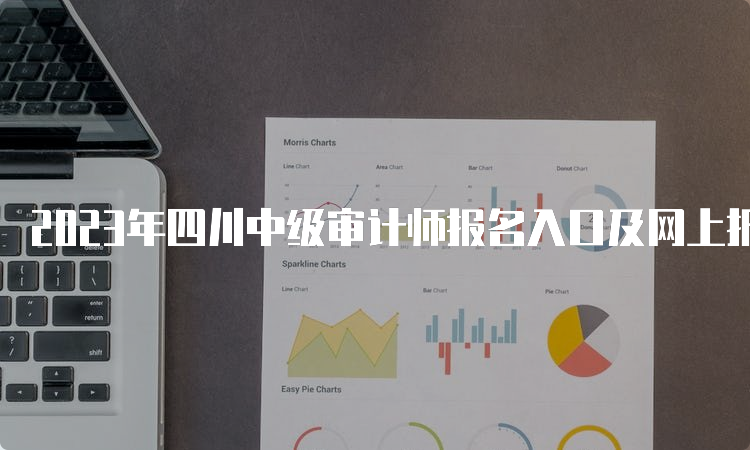 2023年四川中级审计师报名入口及网上报名流程