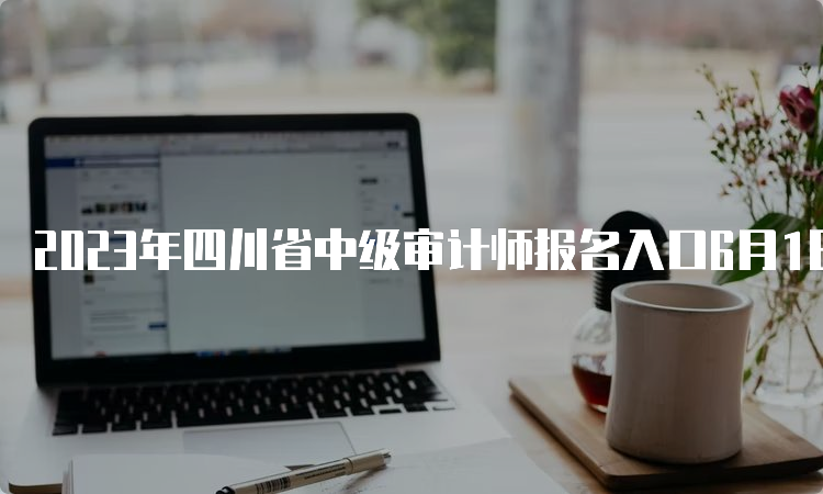 2023年四川省中级审计师报名入口6月1日开通