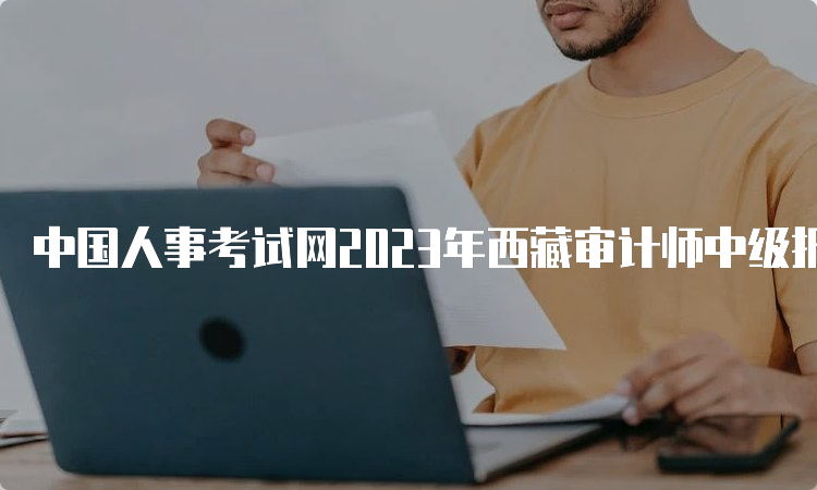 中国人事考试网2023年西藏审计师中级报名网站
